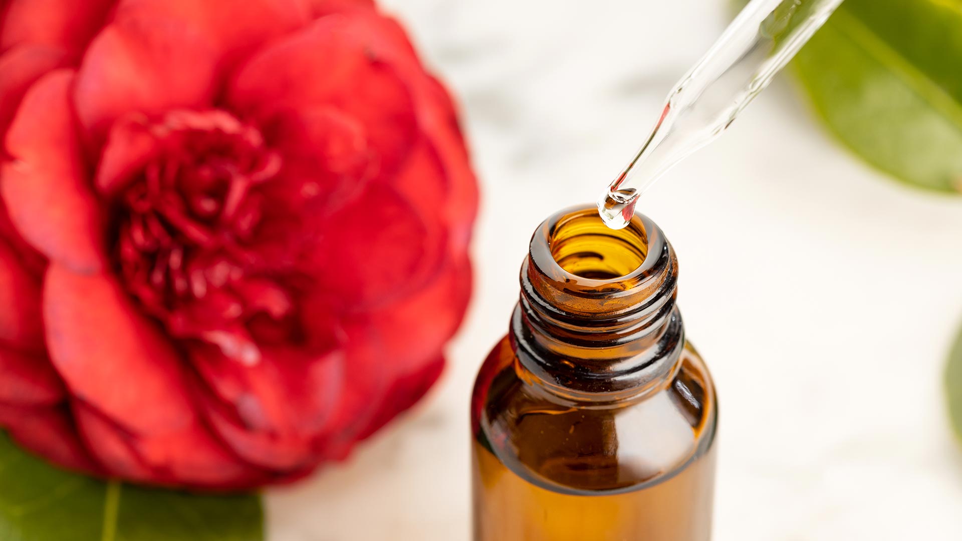 Aceite-esencial-de-camelia