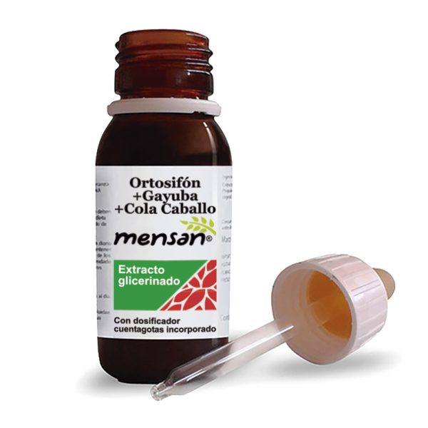 ORTOSIFÓN + GAYUBA + COLA CABALLO